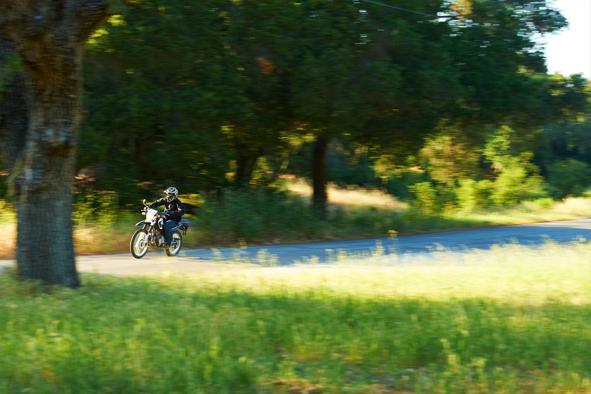 , , yamaha, 2014, xt250